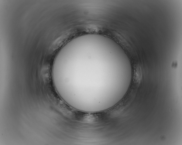 X0000113350616200909291056