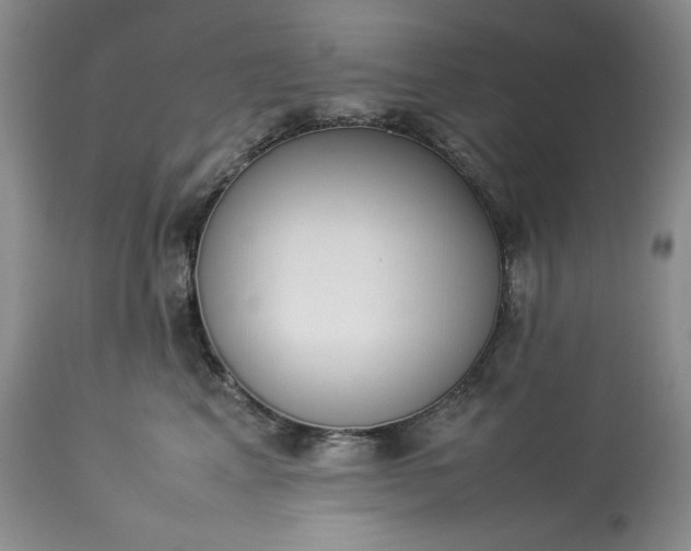 X0000113350617200909291056