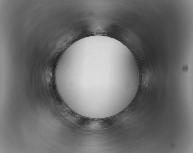 X0000113350618200909291056