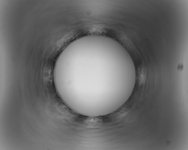 X0000113350619200909291056