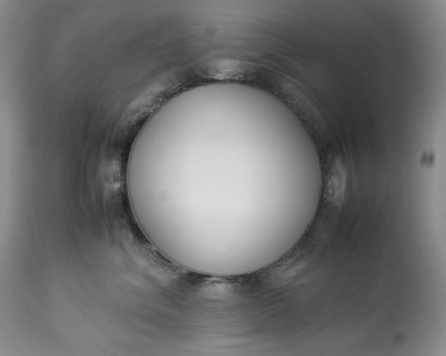 X0000113350620200909291056