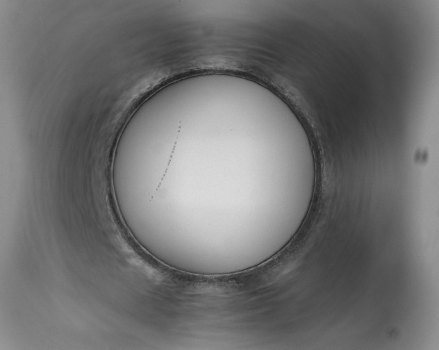 X0000113350625200909291056