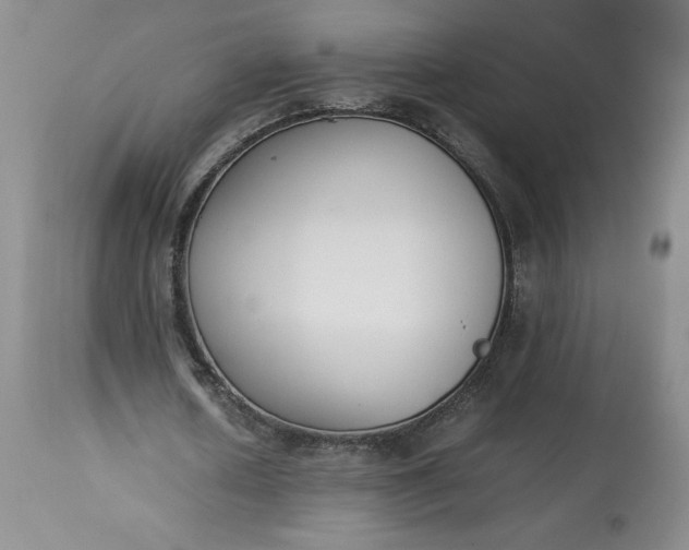 X0000113350626200909291056