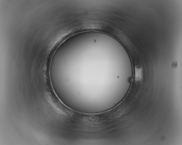 X0000113350627200909291056