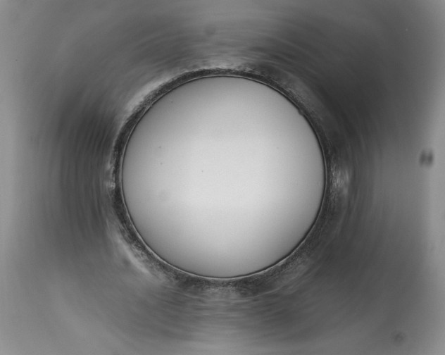 X0000113350628200909291056