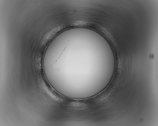 X0000113350633200909291056