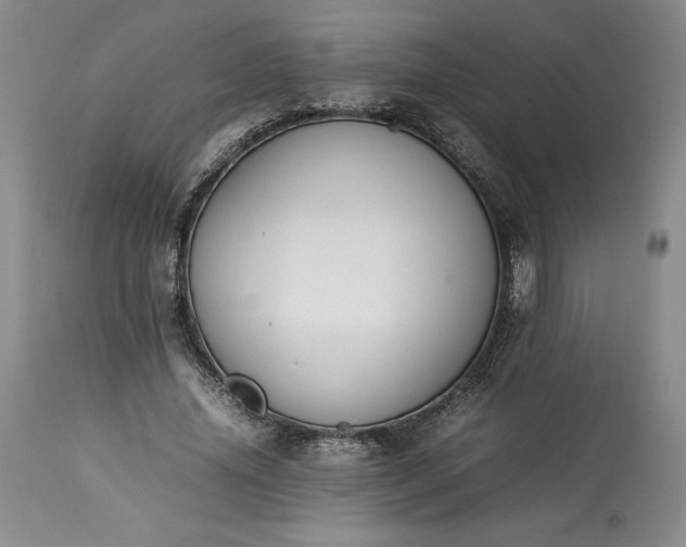 X0000113350636200909291056