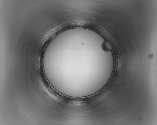 X0000113350638200909291056