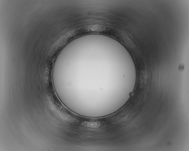 X0000113350639200909291056