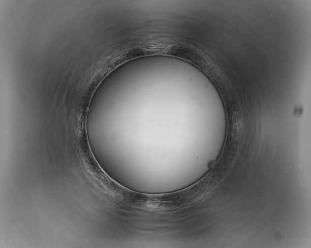 X0000113350641200909291056