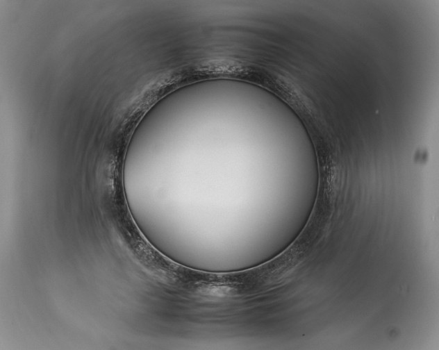 X0000113350643200909291056