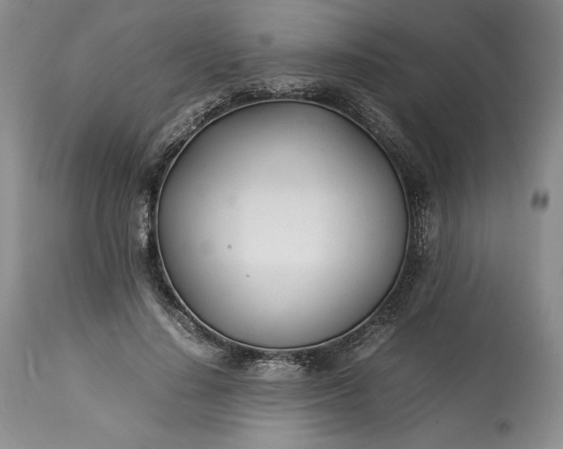 X0000113350644200909291056