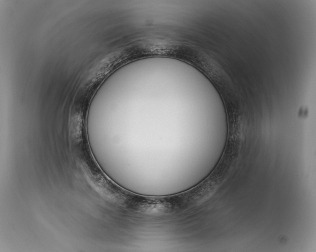 X0000113350646200909291056