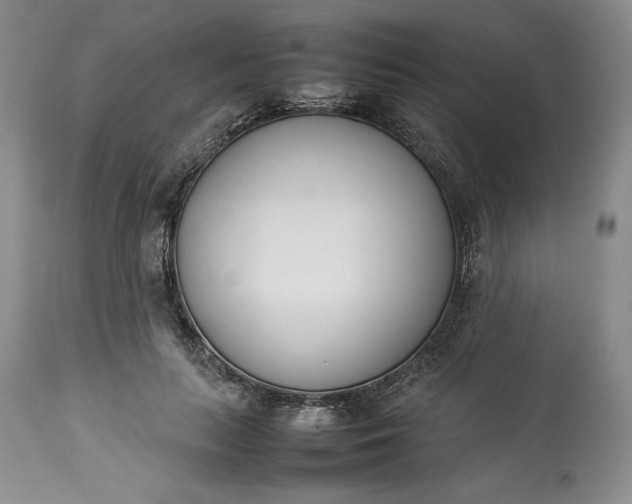 X0000113350647200909291056