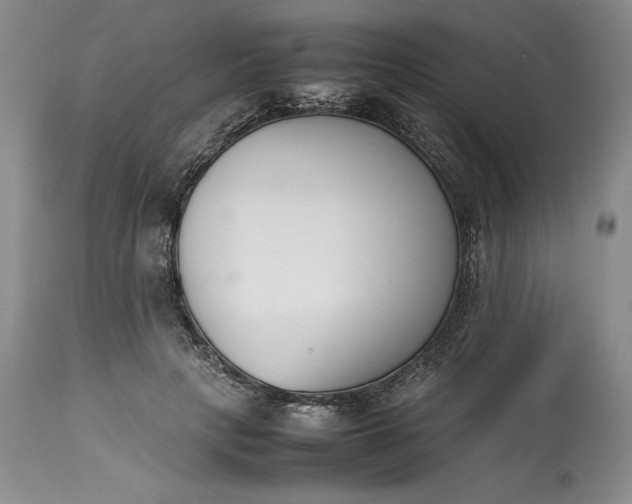 X0000113350649200909291056