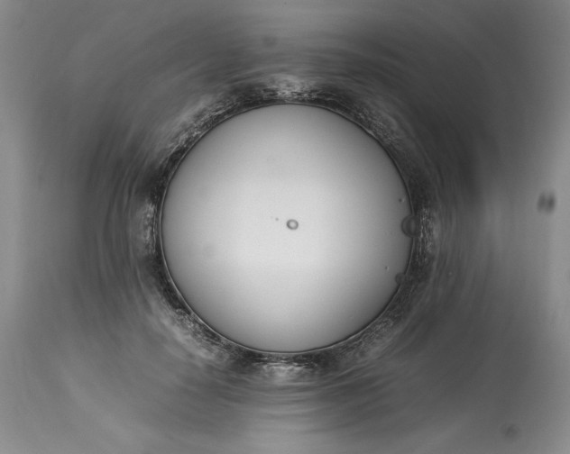 X0000113350650200909291056