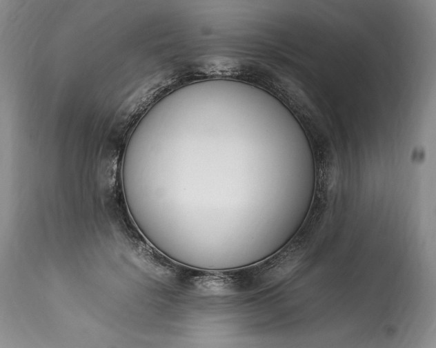 X0000113350652200909291056