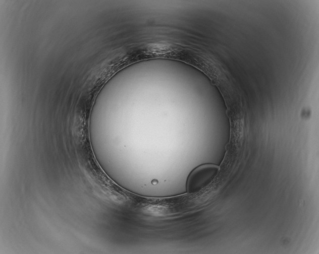 X0000113350653200909291056