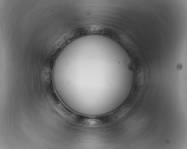 X0000113350654200909291056