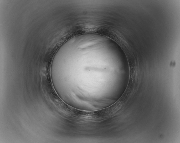 X0000113350655200909291056