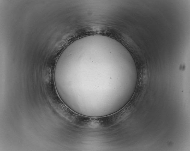 X0000113350656200909291056