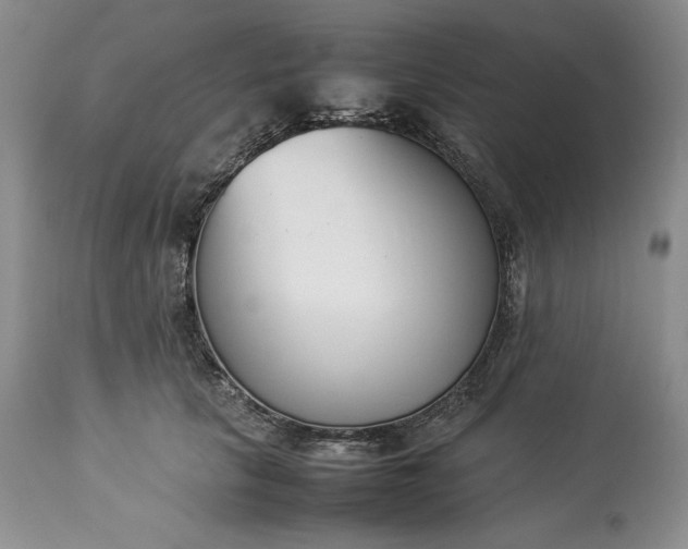 X0000113350657200909291056