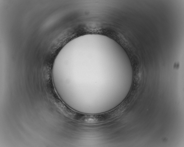 X0000113350658200909291056