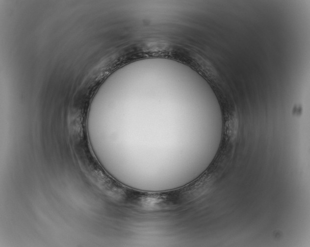 X0000113350662200909291056