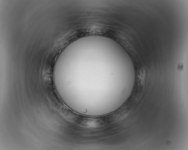 X0000113350663200909291056