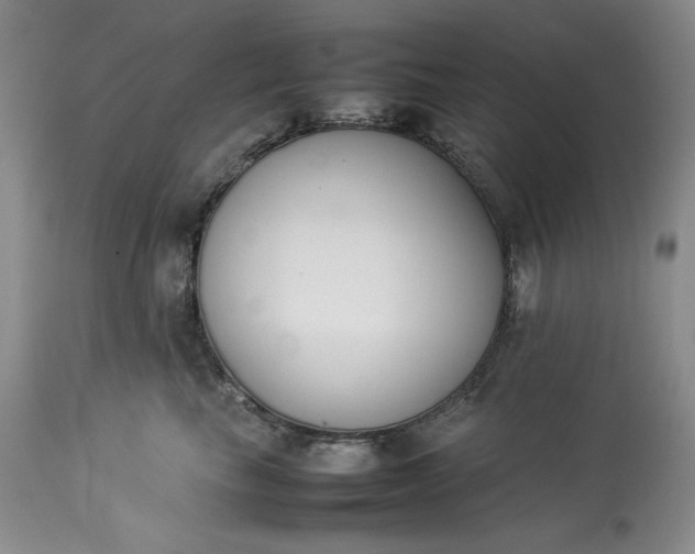 X0000113350665200909291056