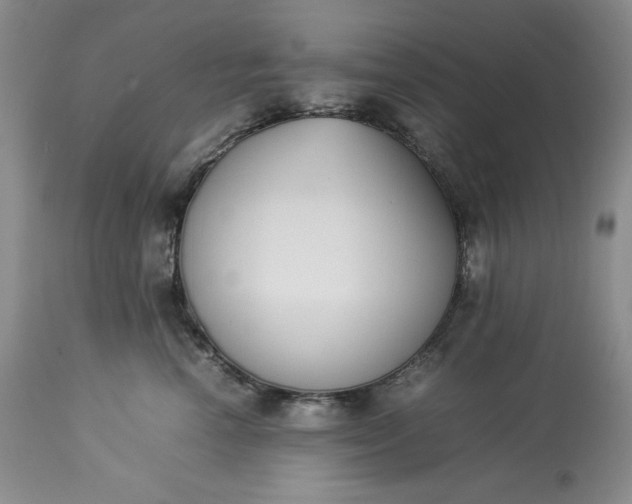 X0000113350666200909291056