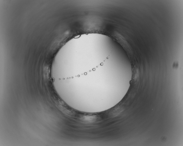 X0000113350669200909291056