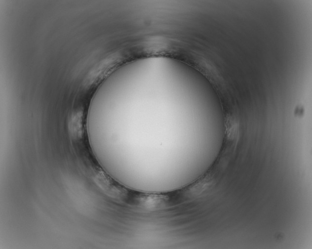 X0000113350670200909291056