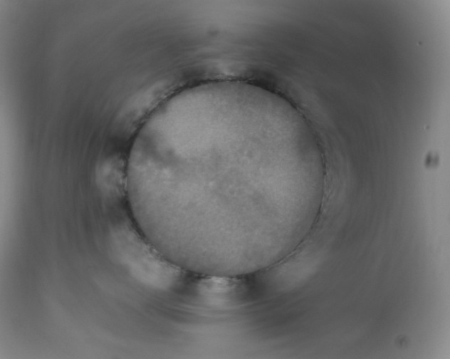 X0000113350672200909291056