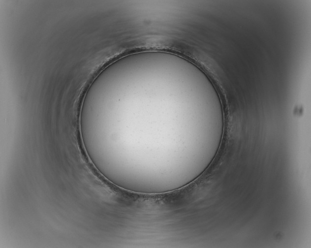 X0000113350673200909291056