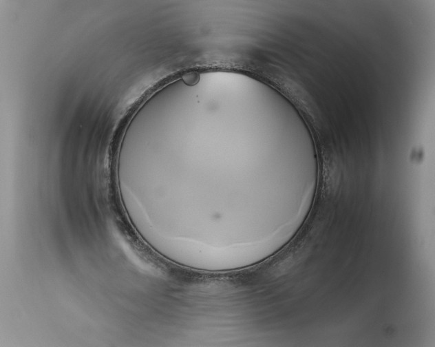 X0000113350674200909291056