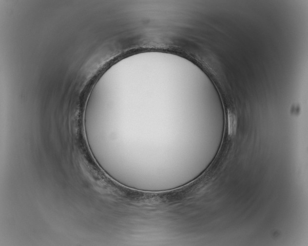 X0000113350675200909291056