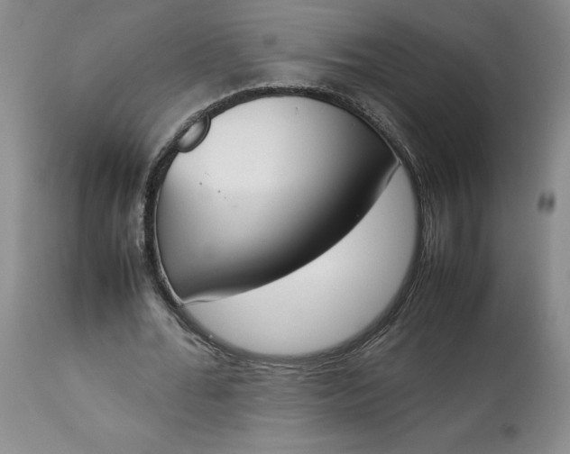 X0000113350676200909291056