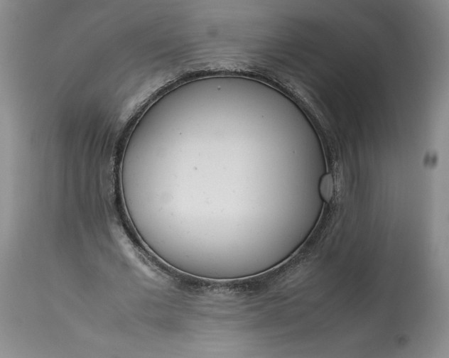 X0000113350677200909291056