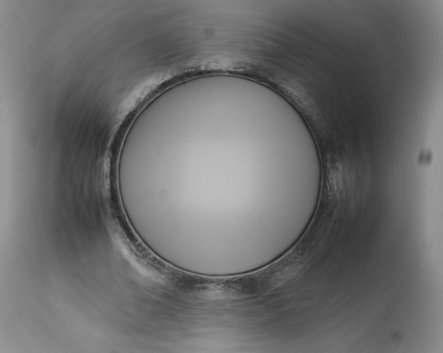 X0000113350678200909291056