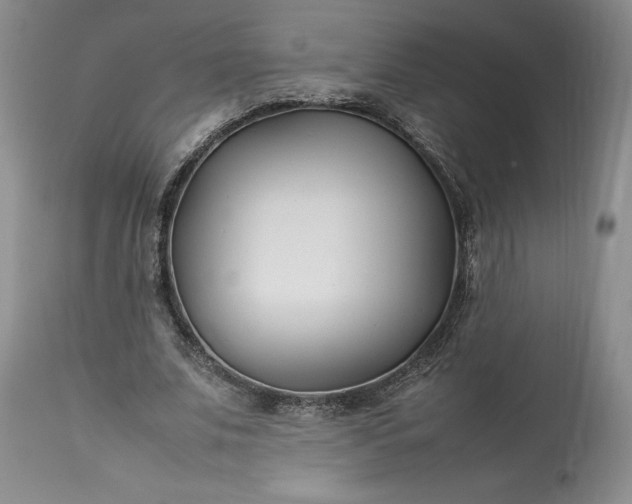 X0000113350679200909291056