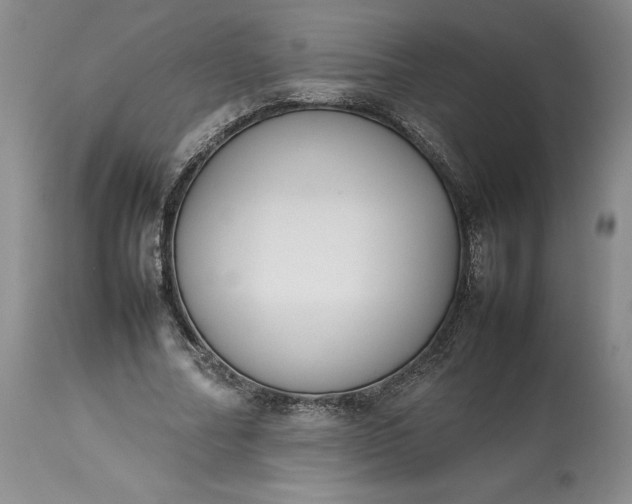 X0000113350682200909291055