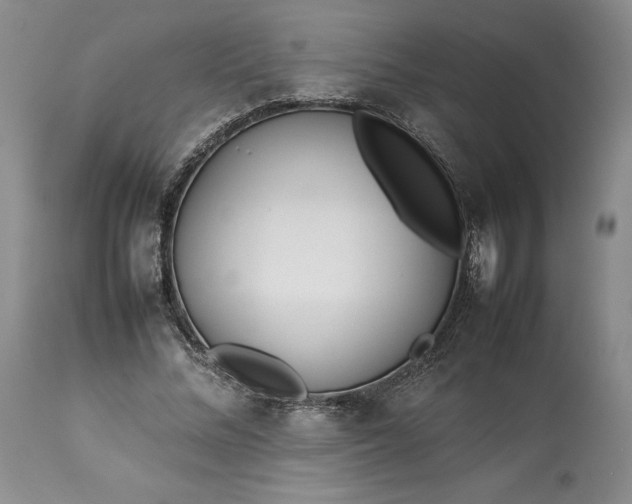 X0000113350684200909291055