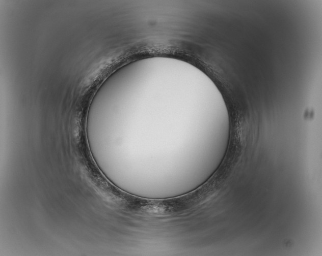X0000113350687200909291055