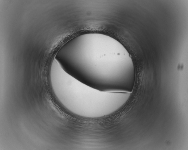 X0000113350688200909291055