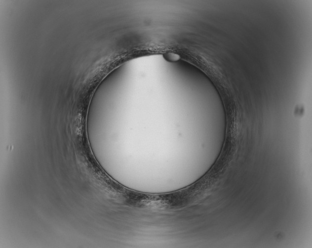 X0000113350689200909291055