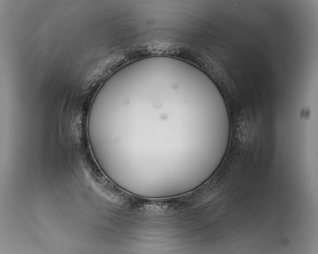 X0000113350690200909291055