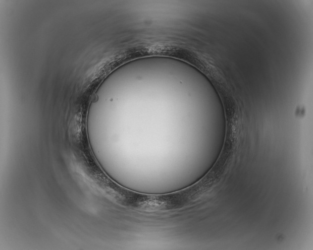 X0000113350691200909291055