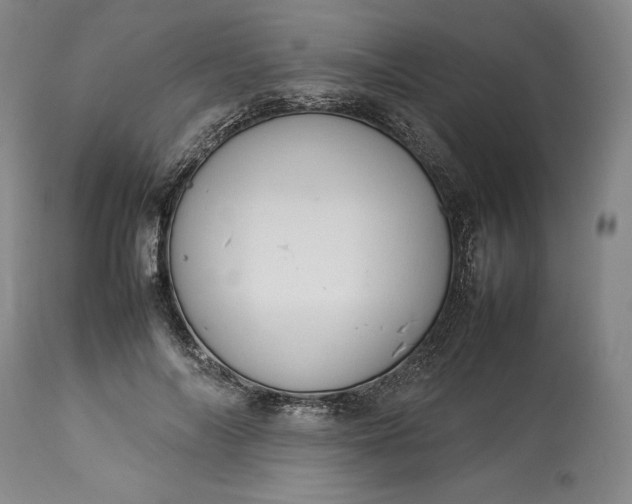 X0000113350694200909291055