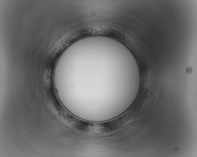 X0000113350695200909291055